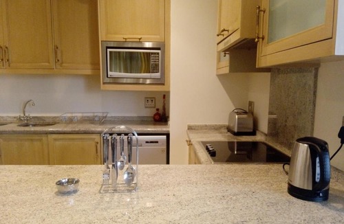 Sandown Apartment | 801 Michelangelo Towers