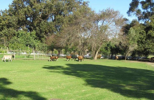 Caledon Apartment | 96 m² Apartment ∙ 2 bedrooms ∙ 4 guests