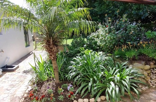 Rheenendal House | A 3-bedroom cottage full of old world charm and character in Rheenendal.