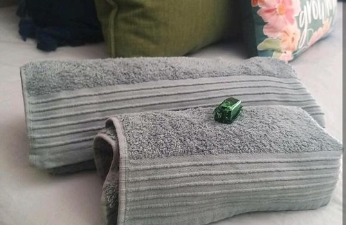 Pretoria Apartment | A breath of fresh air