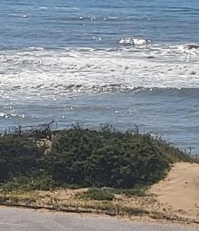 Port Alfred House | A-View-at-Kingfisher Port Alfred Guest Accommodation