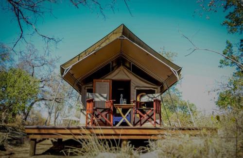 Mopani Other | Abelana Safari Camp