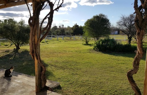 Prince Albert House | Acacia Cottage