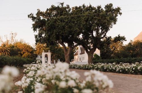 Paarl Hotel | Adara Palmiet Valley Luxurious Boutique Farm Hotel