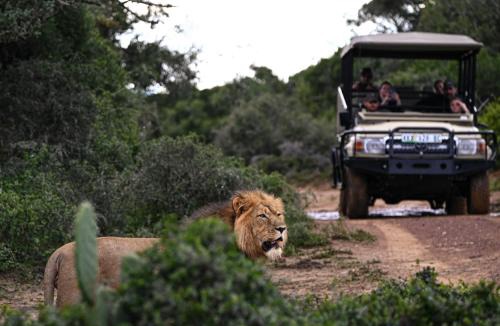 Paterson Cabin | Addo Elephant Safari Lodge - Bellevue Forest Reserve