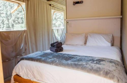 Haenertsburg Ski Chalet | AfriCamps Magoebaskloof