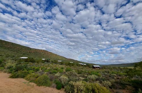 Kamiesberg Other | Agama Tented Camp