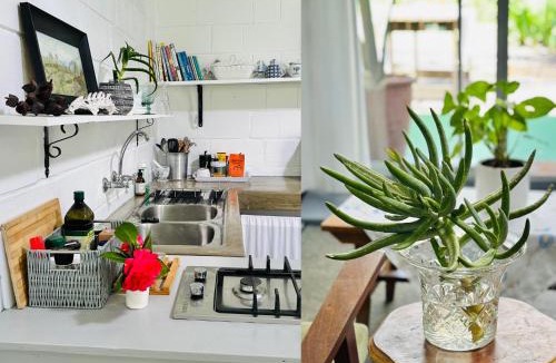 Elgin House | Agapanthus garden cottage