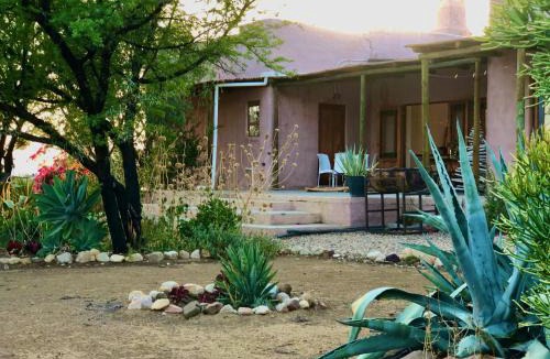 Prince Albert House | AGAVE HOUSE
