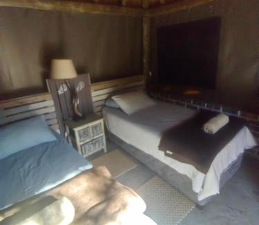 Marble Hall Other | Aloe Bush Game Lodge