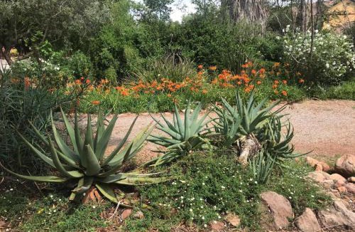 Klerksdorp Bed & Breakfast | Aloe Guesthouse Klerksdorp