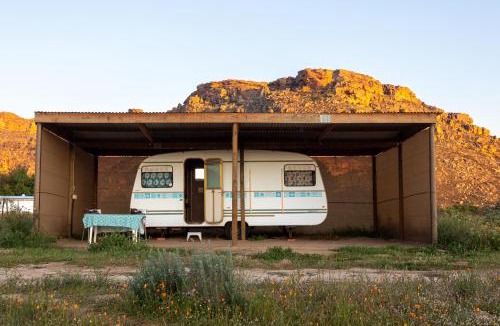 Clanwilliam Other | Alpha Excelsior Donkey camp
