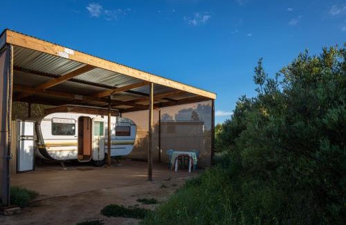 Clanwilliam Other | Alpha Excelsior Donkey camp