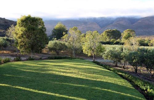 Barrydale Ski Chalet | AlteVrede Olive Farm