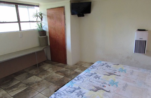 Thorny Bush Game Reserve House | Amazing "tree in lounge" Eco apartment with leopards passing by at night