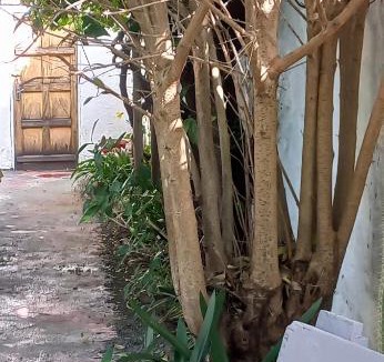 Colesberg House | Anhuis
