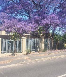 Paarl Apartment | Apartment ∙ 1 bedroom ∙ 2 guests