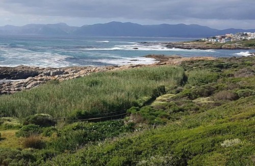 De Kelders Apartment | Apartment Royal Whale Watching in Gansbaai - De Kelders - 4 persons, 2 bedrooms