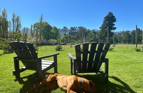 Elgin Ski Chalet | Apple Cottage