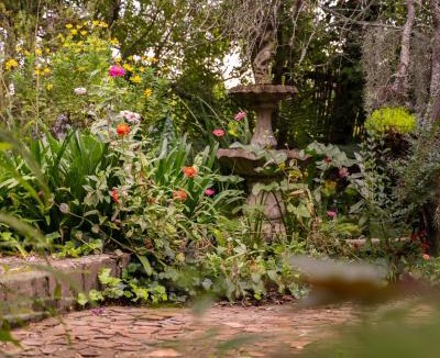 Swellendam Bed & Breakfast | Aquaelberg Place