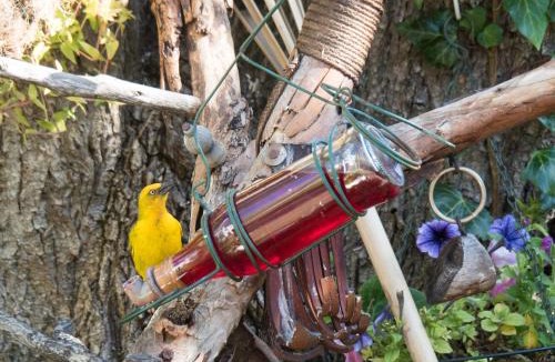 Swellendam Bed & Breakfast | Aquaelberg Place