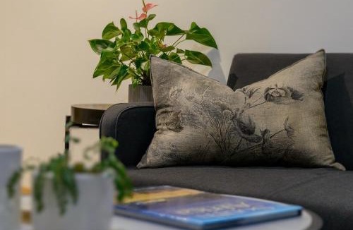 Stellenbosch Apartment | Arch Window garden apartment