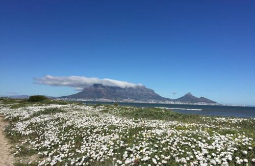 Cape Town Villa | Atlantic Blue Villa at Pilots