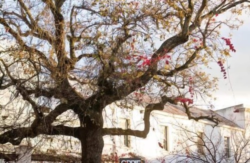 Stellenbosch Central Apartment | Avemore LaGratitude No 6- with backup power