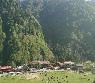 Ayder Yaylasi Apartment | Ayder Villa Bravo