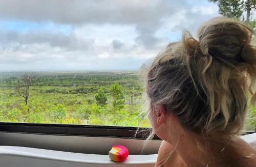 Pearly Beach Ski Chalet | Baboon's View Cabin - Salted Fynbos Staying