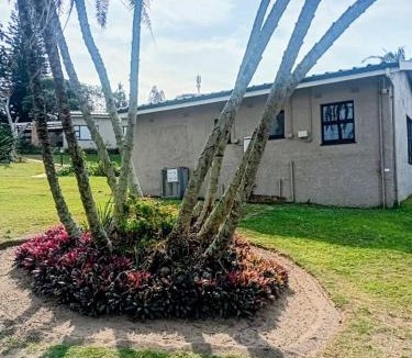 Melville House | Banana Beach Getaway