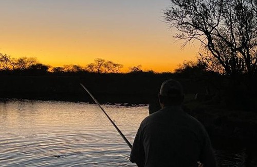 Alldays Bed & Breakfast | BAOBAB ESTATE ALLDAYS