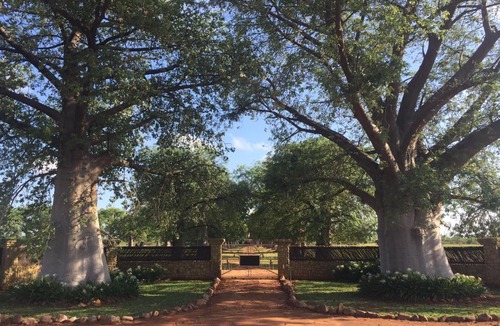 Lephalale Bed & Breakfast | Baobab Lane Lodge