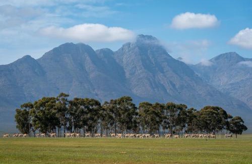 Hermon House | Bartholomeus Klip Farmhouse