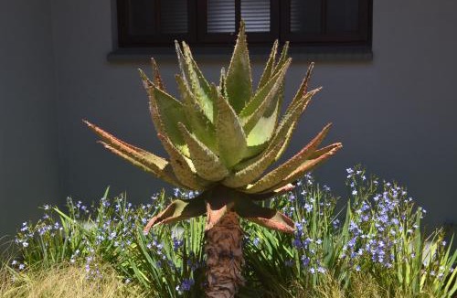 Klerksdorp House | Be At Home Guesthouse