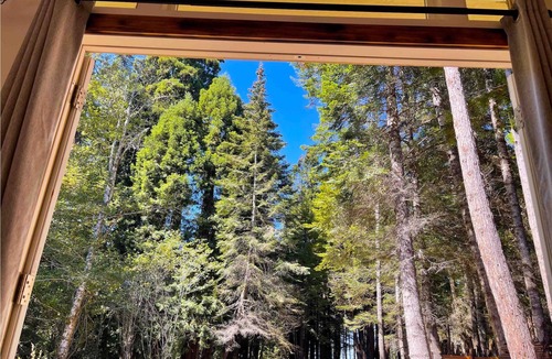 Fort Bragg Cabin | Beautiful Cabin in private redwood forest w/ocean view. Off Grid nature retreat