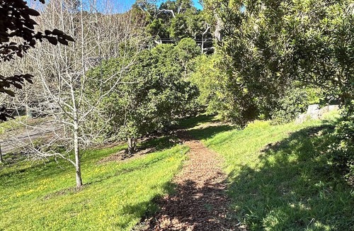 Bolinas House | Beautiful Home on 15 Private Acres Facing Bolinas Lagoon and Surrounding Hills