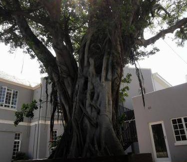 Selborne Bed & Breakfast | Bed and breakfast ∙ 6 guests