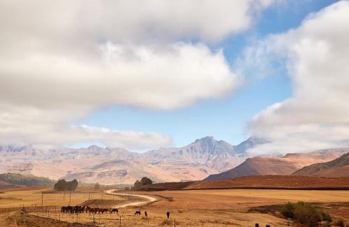 Drakensberg Gardens House | Bergview Farm Cottage by First Private Stays