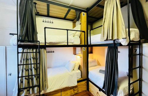 Muizenberg Hostel | BIM Backpackers In Muizenberg