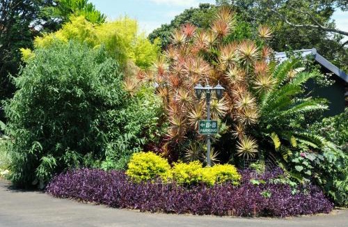 uMlalazi Bed & Breakfast | Birds of Paradise B&B