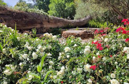 Elgin House | Blissful Country Garden King Bed Cottage