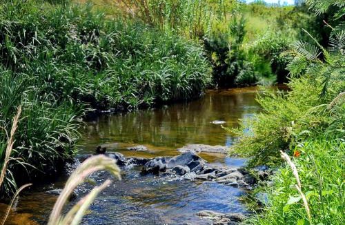 Swellendam Apartment | Blue Mountain Farm Lodge, Farm & Dam House