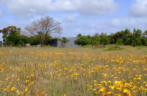 Saldanha Bay House | Blue Sky Retreat