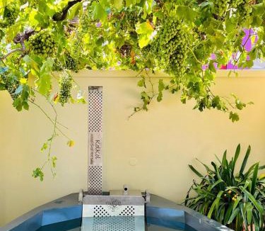 Bo'Kaap House | Bo-Kaap hidden gem with Hot Tub