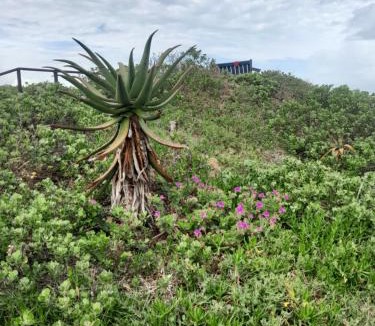 Boknes Strand Other | Bokness Camping Sites