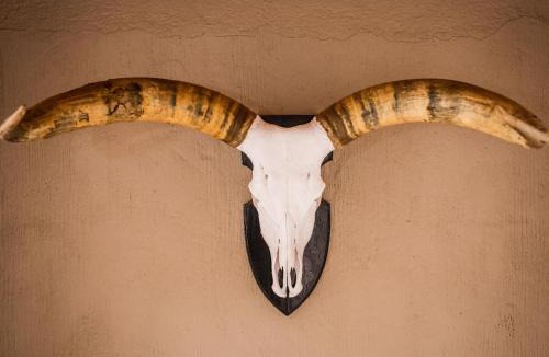 Wolmaransstad Cabin | Bona Bona Game Lodge
