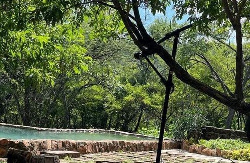 Modimolle House | Bosveldsig Cottages