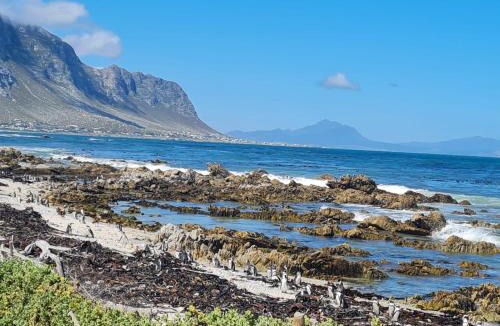 Betty's Bay House | Brandys beach house bettys bay