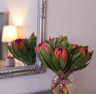 Heldervue Apartment | Brookshill - Protea suite